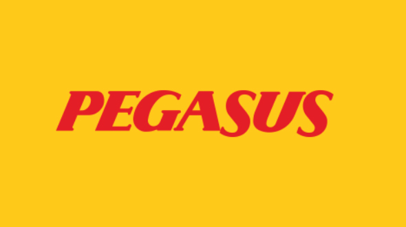 kristal Plaats onderbreken Pegasus vliegtickets v.a. €99 | Goedkopevliegtickets.nl